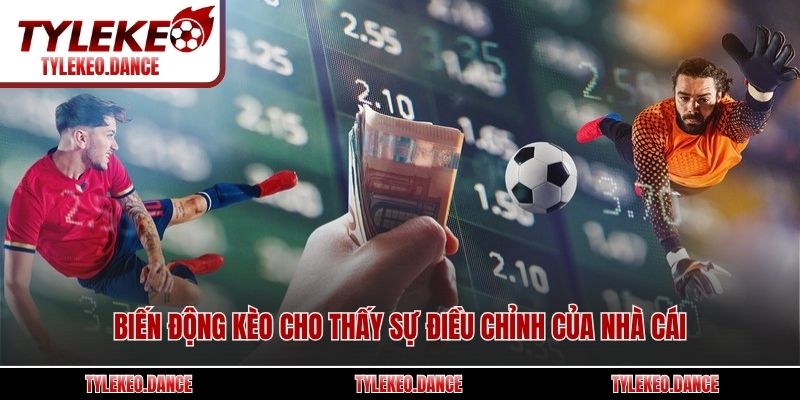 Biến động kèo cho thấy sự điều chỉnh của nhà cái